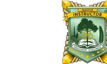Military Intelligence Instructor Badge
