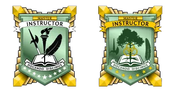 military instructor badge